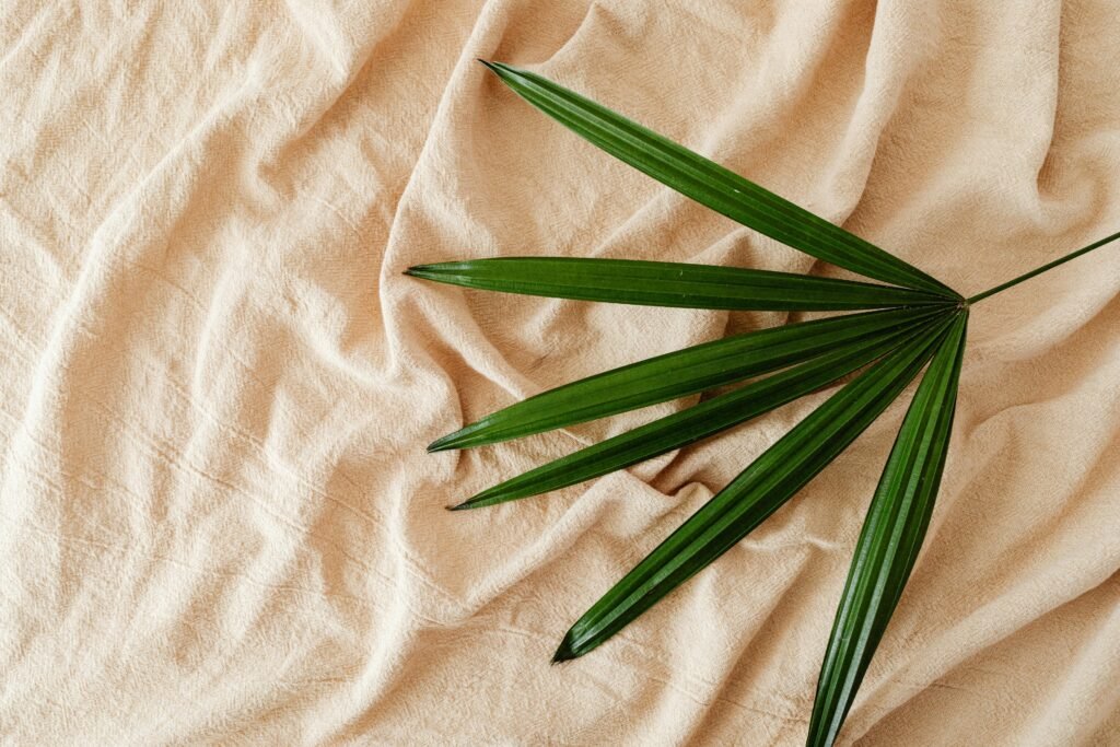 A minimalist close-up of a bamboo leaf on beige fabric, emphasizing simplicity and nature.